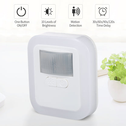 Body sensor toilet night light